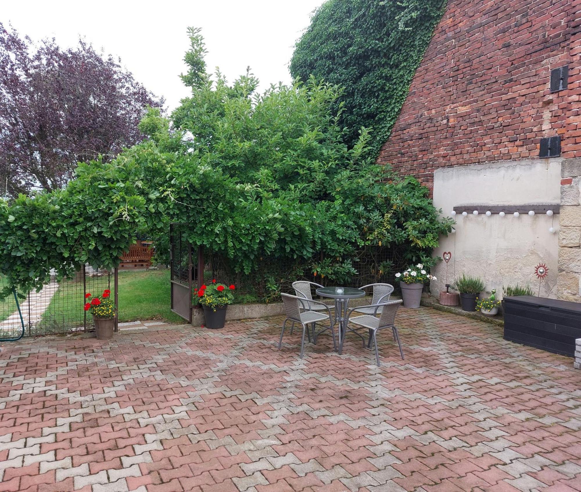 Penzion U Novotnych Jiřetín pod Jedlovou Exterior foto